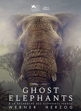 Affiche du documentaire Ghost Elephants de Werner Herzog : gros plan sur la tête d'un éléphant dans la brume