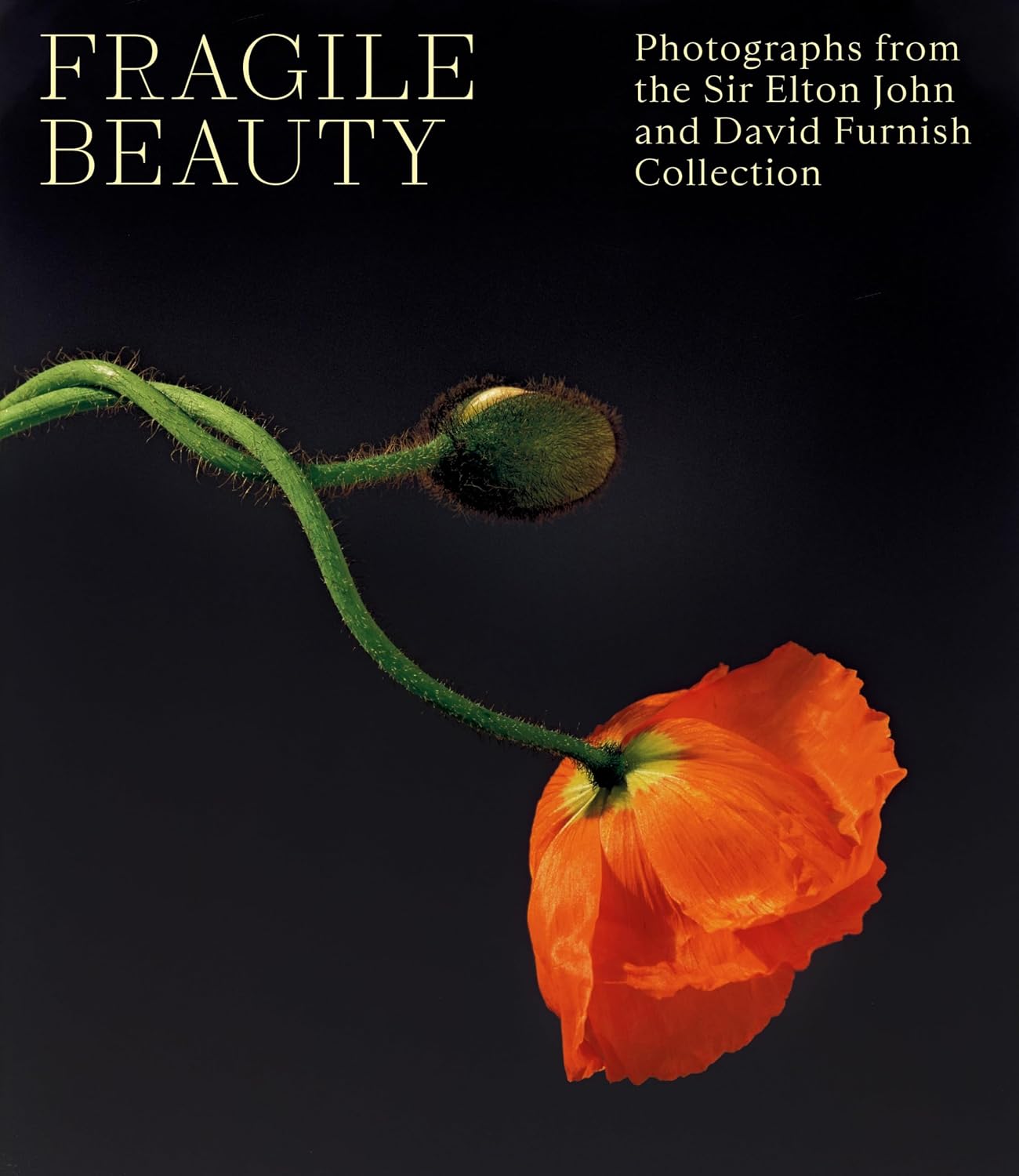 Fragile Beauty (livre de la collection Elton John / David Furnish)