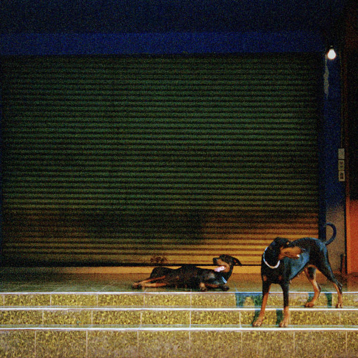Pochette de l'album Pure Devotion d'Overmono : deux chiens devant un rideau metallique baisse la nuit