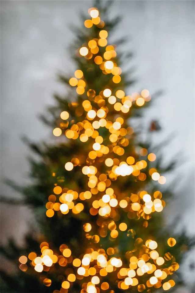 Faut il choisir un sapin naturel ou artificiel ?