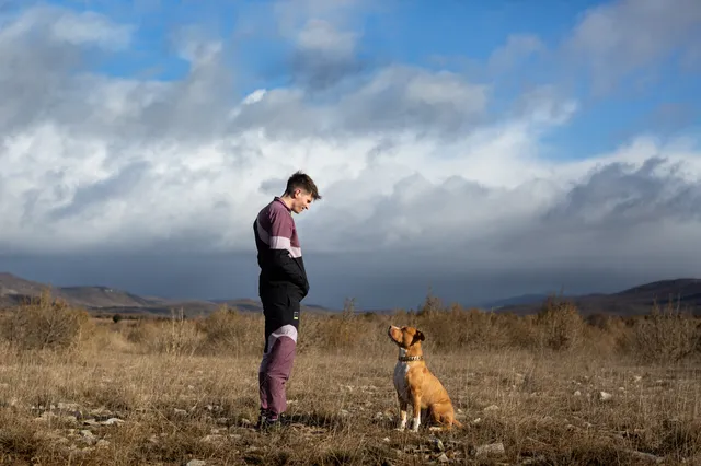 Allez voir Chien de la casse au cinéma
