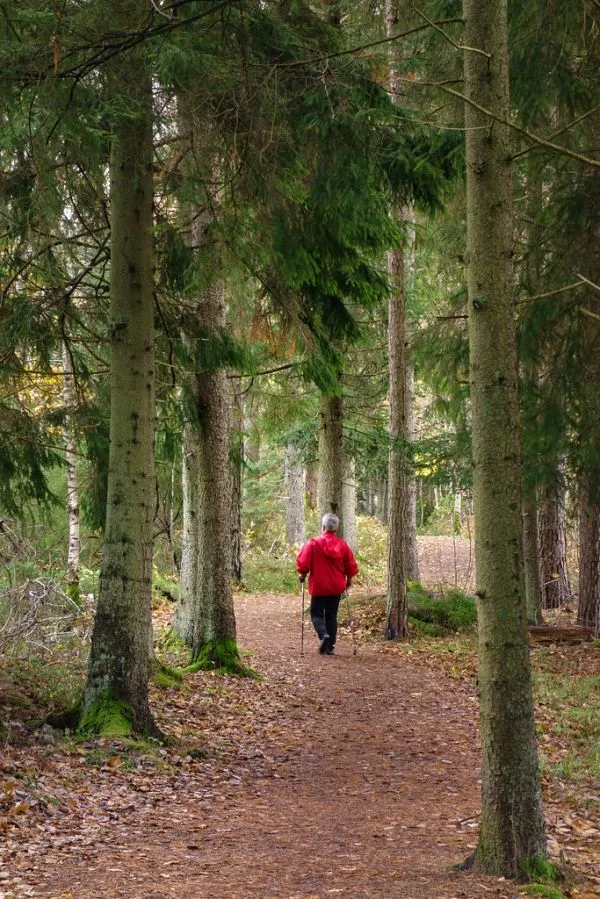Une personne marche avec des bâtons sur un sentier de forêt en marche nordique